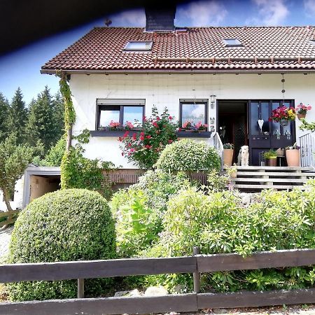 Ferienwohnung Anemone Mit Bergblick Braunlage Exteriör bild